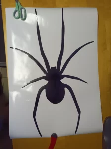 Řezaná grafika na auto – motiv pavouka