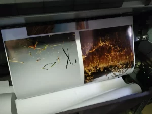 Tisk velkoformátové fotografie na plotru