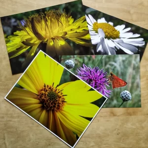 Tisk makro fotografii květin